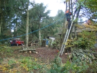  A few already down, and now just rigging up the last ones